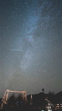 beartic hd wallpaper