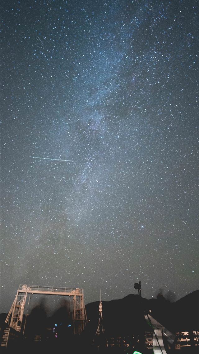 1284x2778 beartic hd - beartic hd iPhone Wallpaper