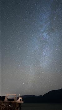 beartic hd wallpaper