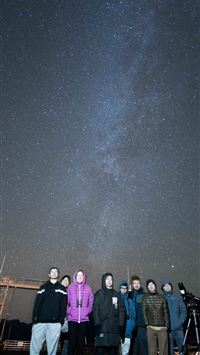 beartic hd wallpaper