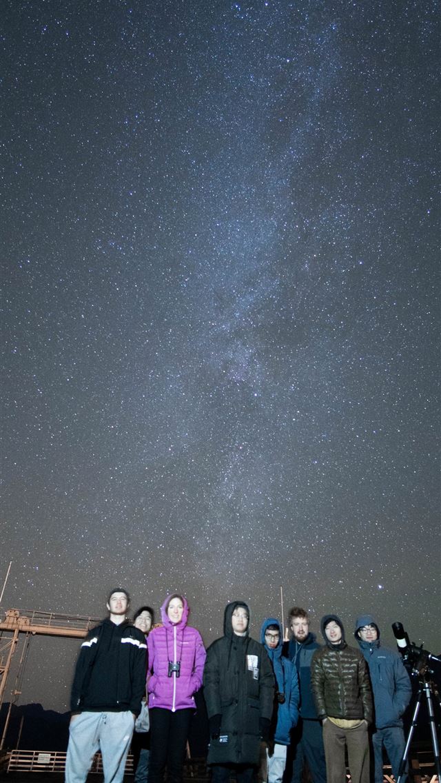 1284x2778 beartic hd - beartic hd iPhone Wallpaper