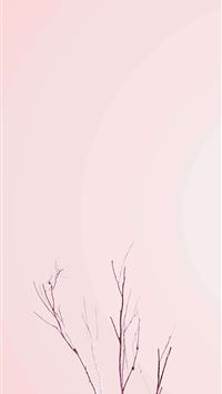 blissey hd wallpaper