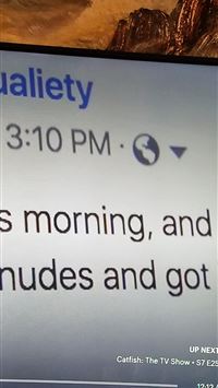 wels catfish wallpaper