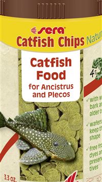 wels catfish wallpaper