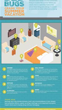 stink bugs wallpaper
