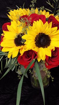 sunflora hd wallpaper