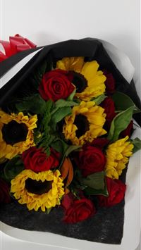 sunflora hd wallpaper