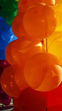 sunflora hd wallpaper