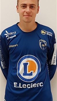 stade rennais fc wallpaper