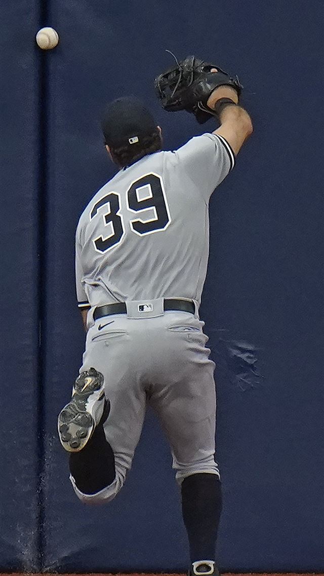 1284x2778 giancarlo stanton - giancarlo stanton iPhone Wallpaper