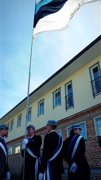 estonia flag wallpaper