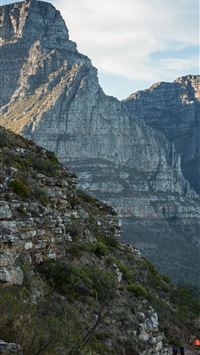 club africain wallpaper