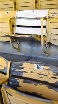 jungle scout fortnite wallpaper