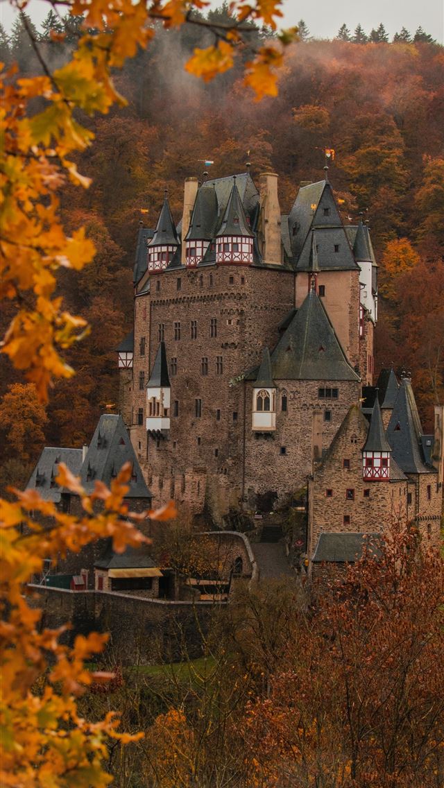 1284x2778 brown concrete castle surround by trees - germany iPhone Wallpaper