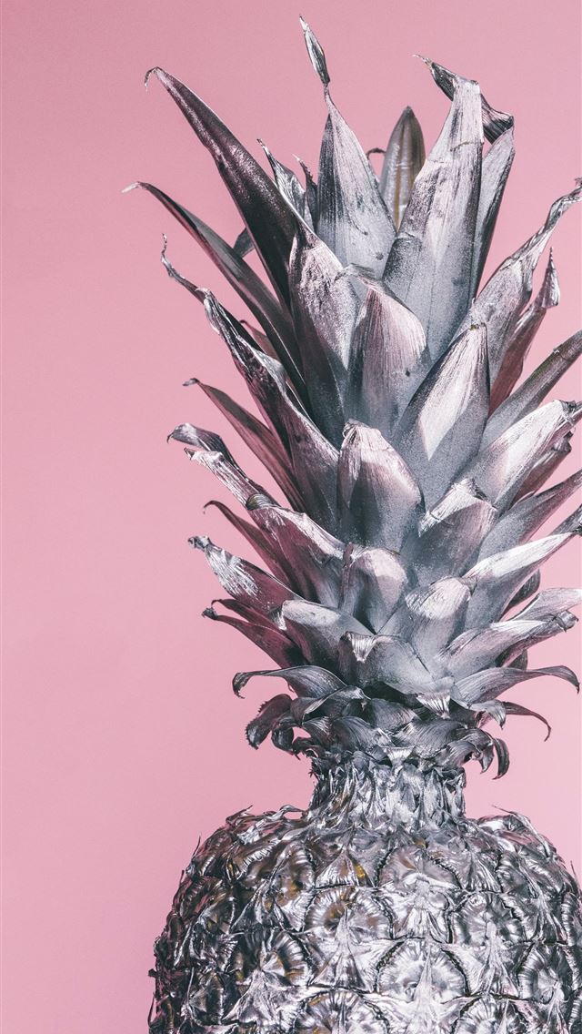 1284x2778 gray pineapple ornament - fruit iPhone Wallpaper