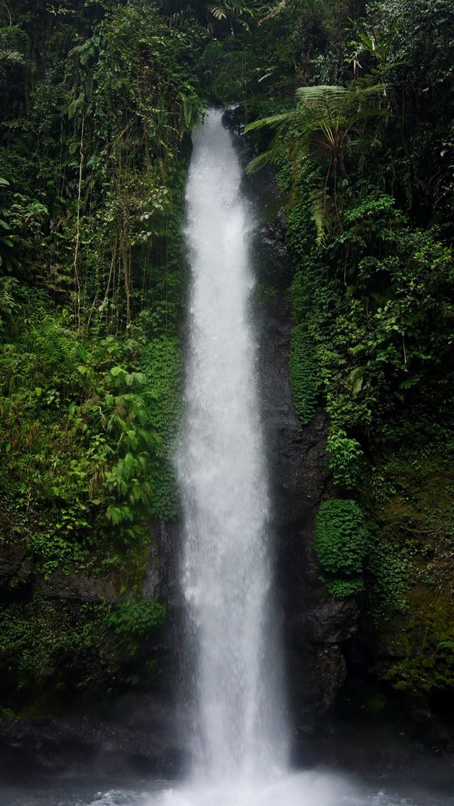 1284x2778 waterfalls in forest during daytime - indonesia iPhone Wallpaper