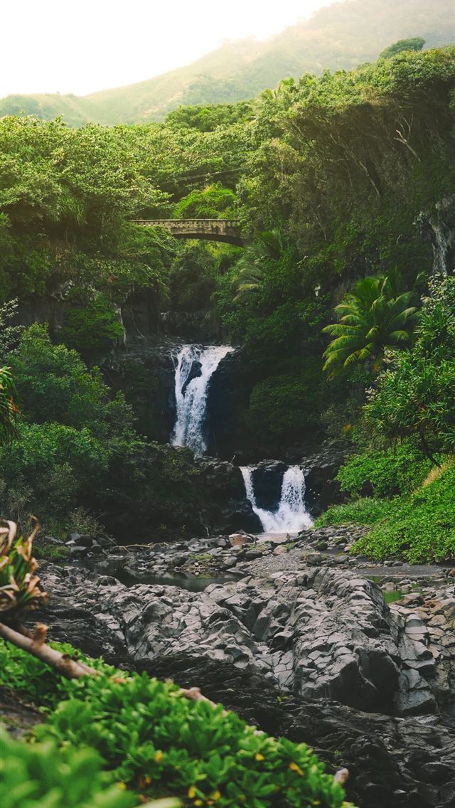 1284x2778 water falls on forest - waterfall iPhone Wallpaper