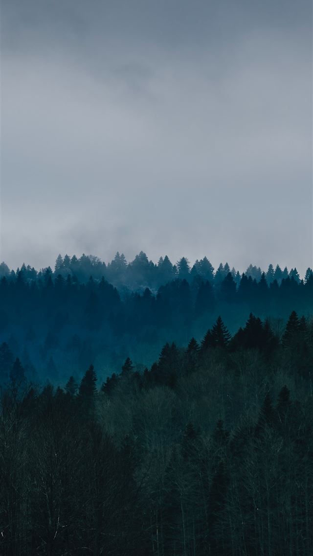 1284x2778 mistlands with gray clouds - serbia iPhone Wallpaper