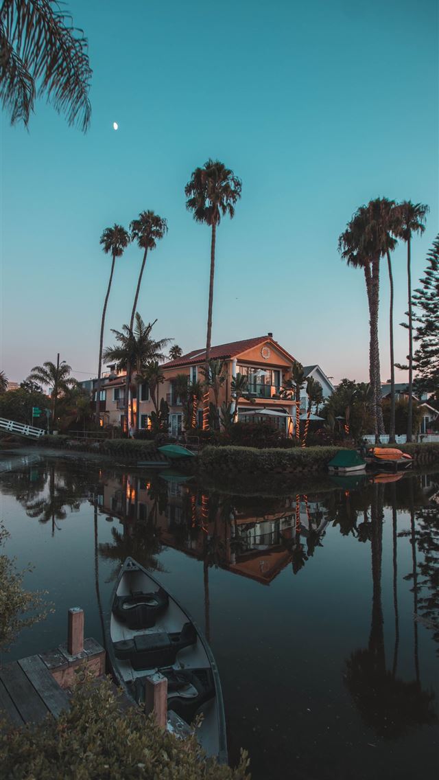 1284x2778 in distant brown 2 storey house surrounded by palm... - los angeles iPhone Wallpaper