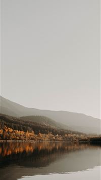 photo of calm body of water near trees wallpaper