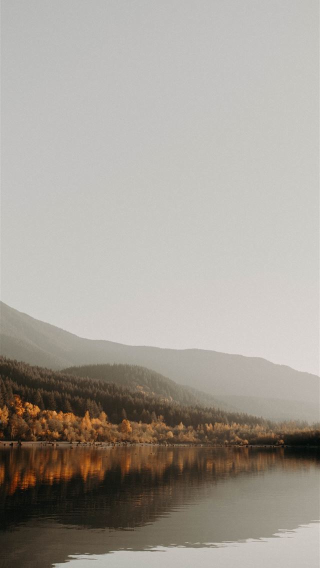 1284x2778 photo of calm body of water near trees - mountain iPhone Wallpaper