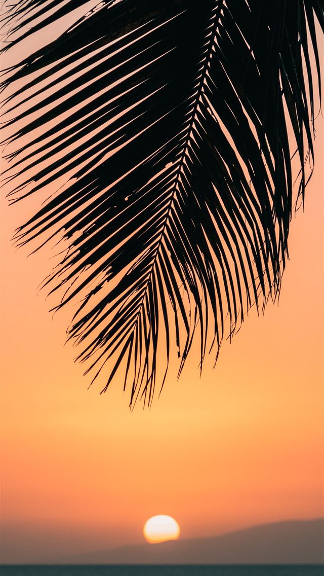 1284x2778 calm ocean at sunset - hawaii iPhone Wallpaper