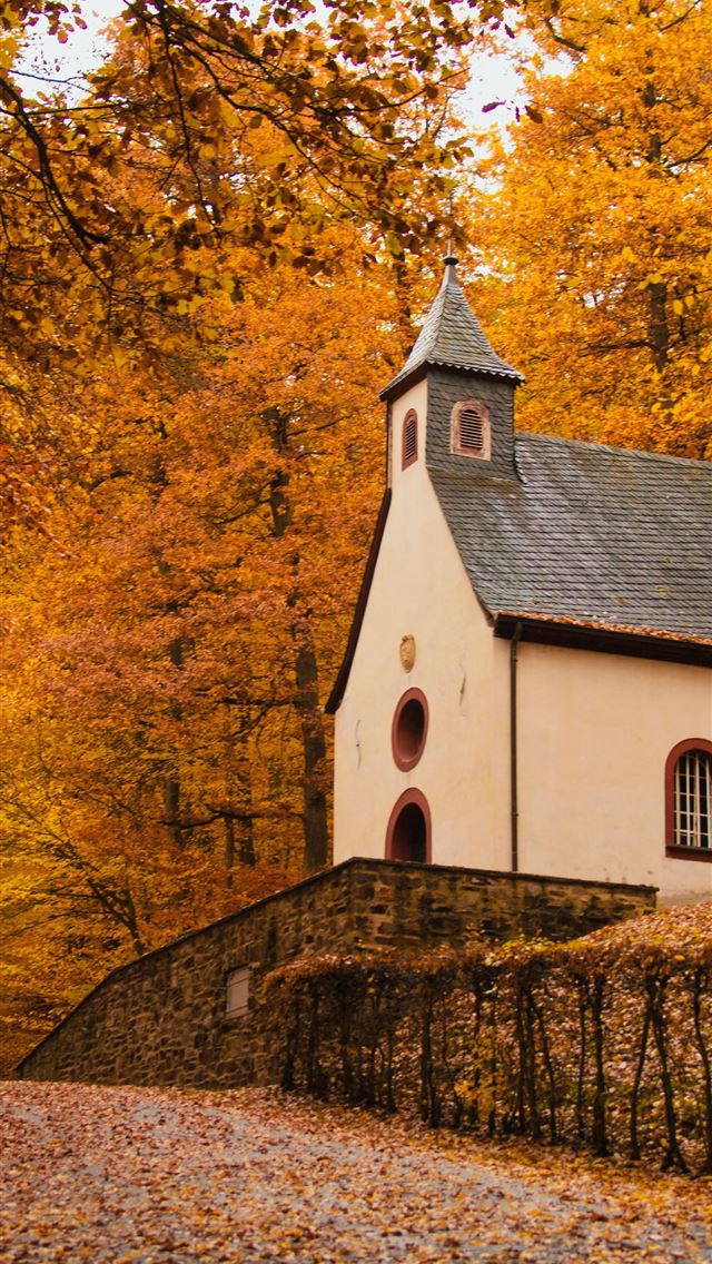 1284x2778 white and gray cathedral surround by trees - yellow iPhone Wallpaper