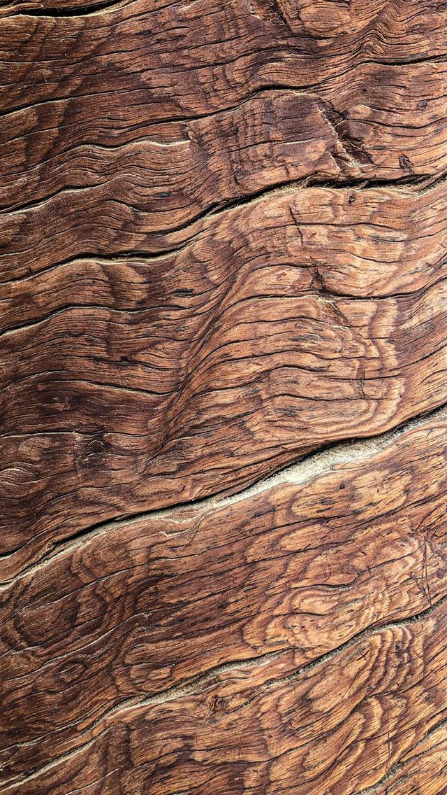 1284x2778 brown tree bark - pattern iPhone Wallpaper