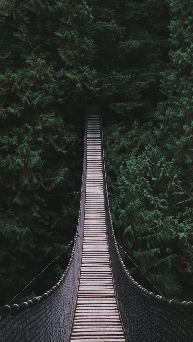 1284x2778 bridge in the middle of the forest - canada iPhone Wallpaper