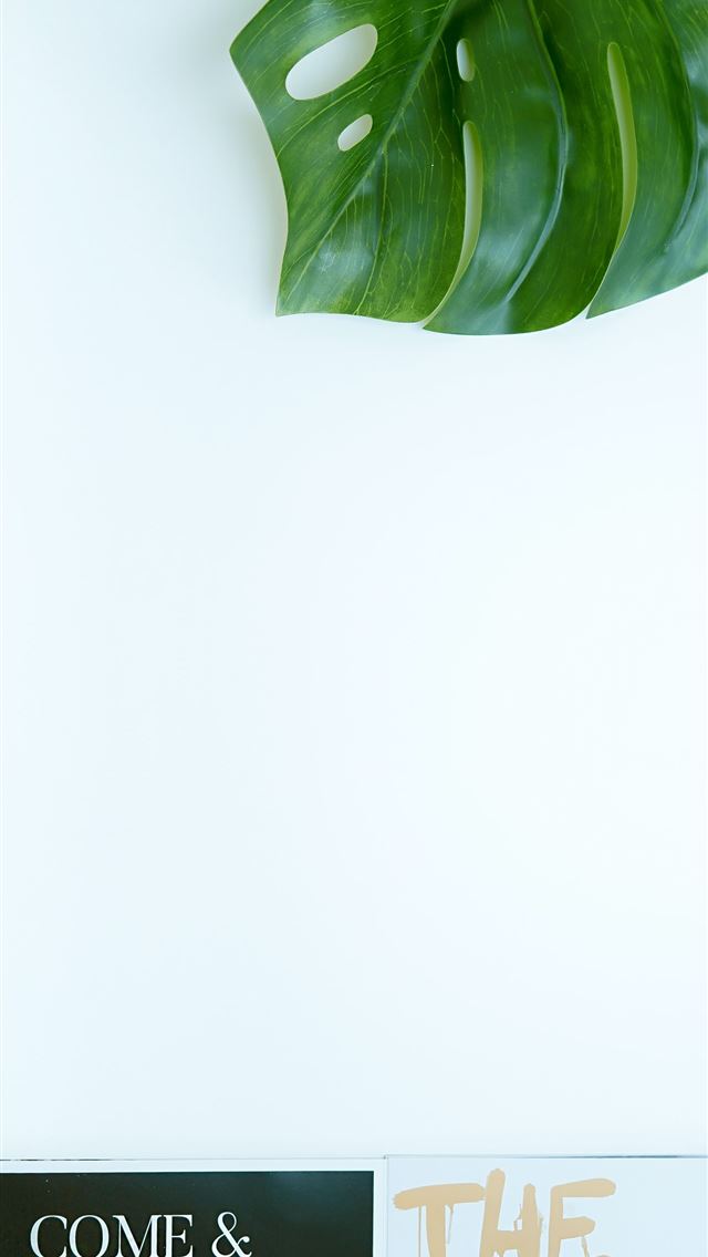 1284x2778 green leaf plant - united kingdom iPhone Wallpaper