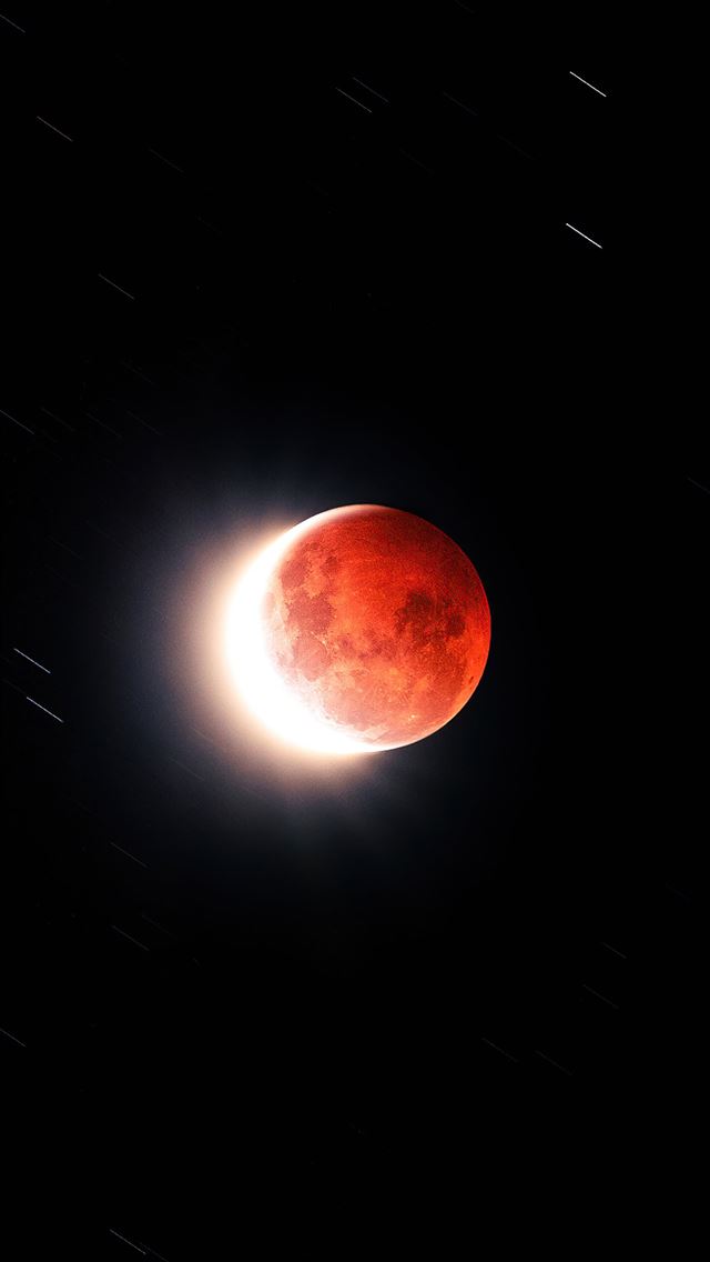 1284x2778 flower blood moon 5k - 4k iPhone Wallpaper