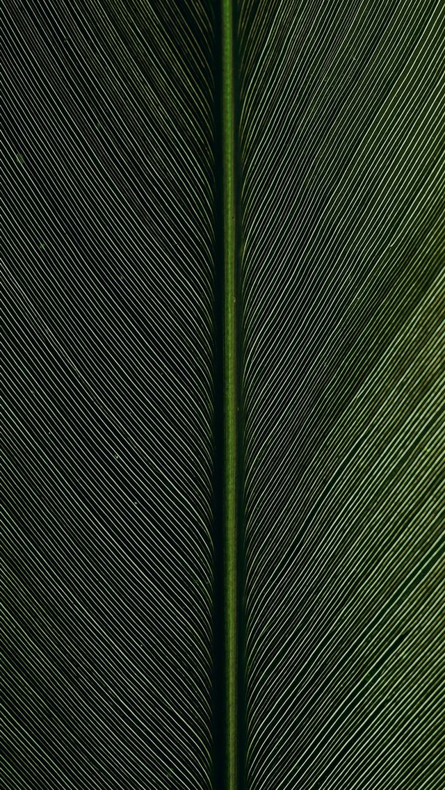 1284x2778 green metal rod on black and white pinstripe texti... - green iPhone Wallpaper