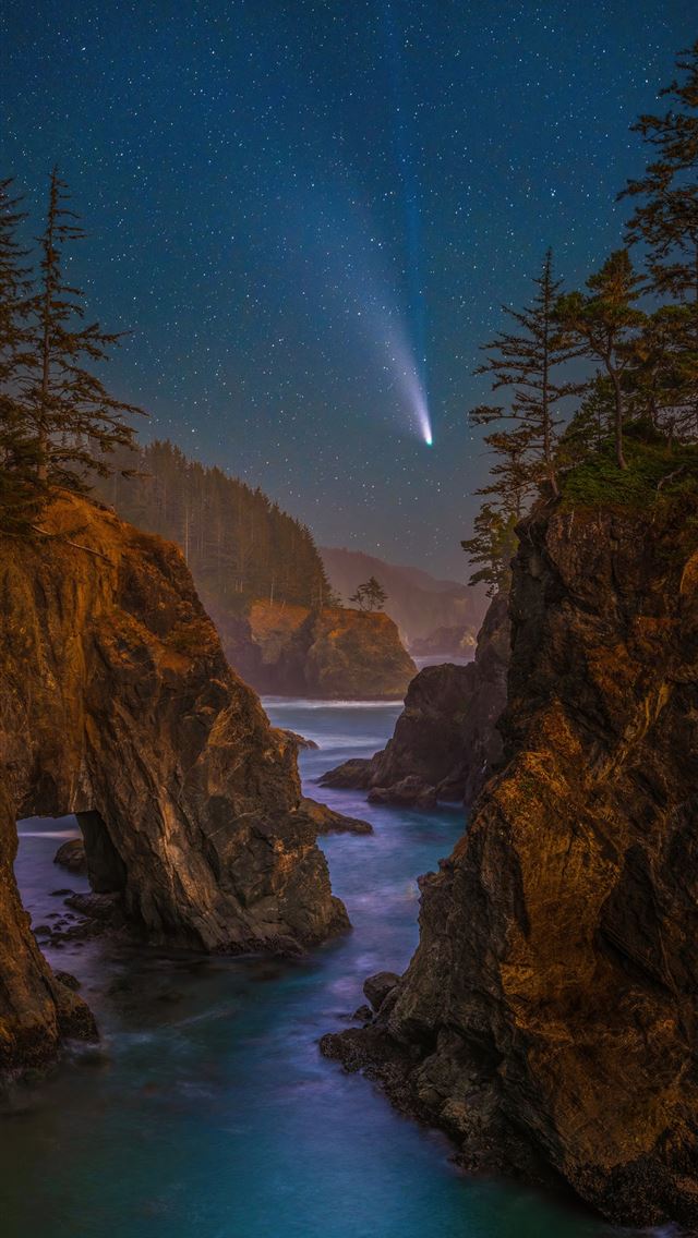640x1136 coast stars scenery oregon night trees 5k -  iPhone Wallpaper