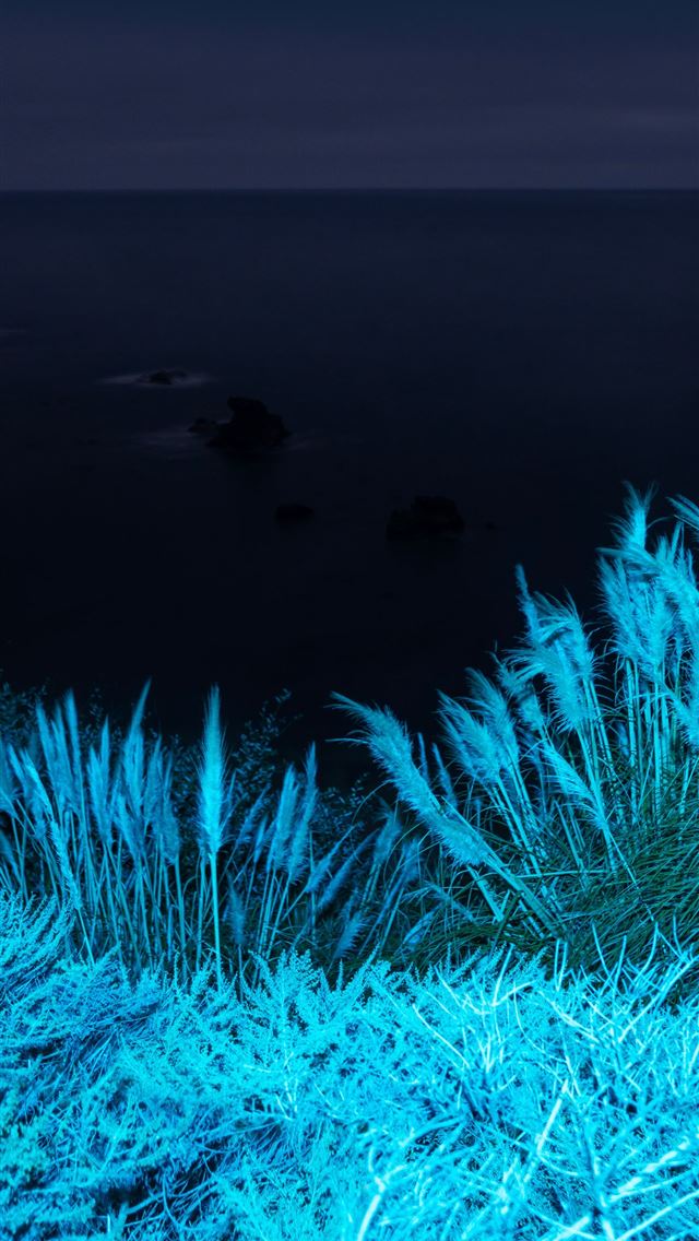 640x1136 Big Sur Grasses by AR7 -  iPhone Wallpaper