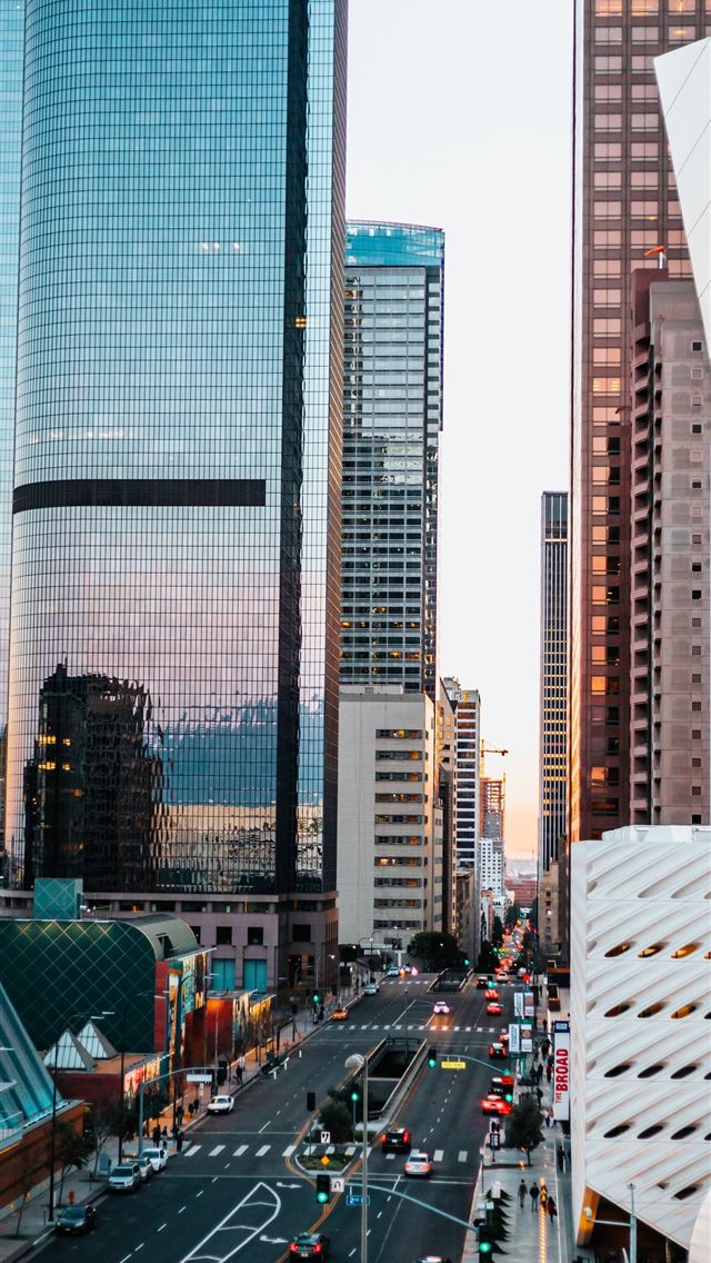 1284x2778 city buildings during daytime in aerial view photo... - landscape iPhone Wallpaper