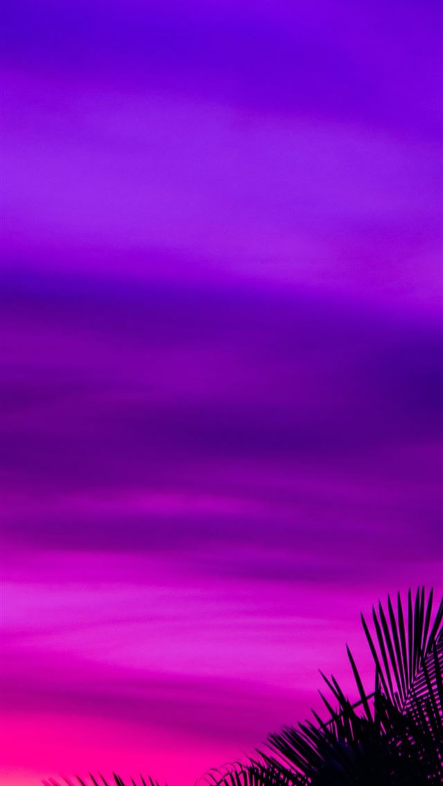 1284x2778 tree and pink sky painting - purple iPhone Wallpaper