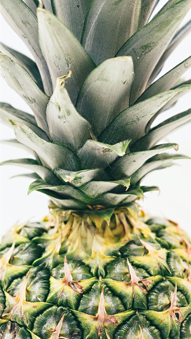 1284x2778 green pineapple fruit - canada iPhone Wallpaper