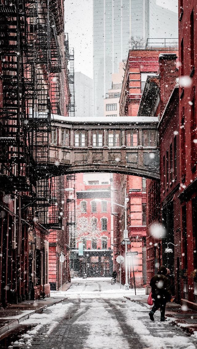 1284x2778 person walking on the street during daytime -  iphone 13 Wallpaper