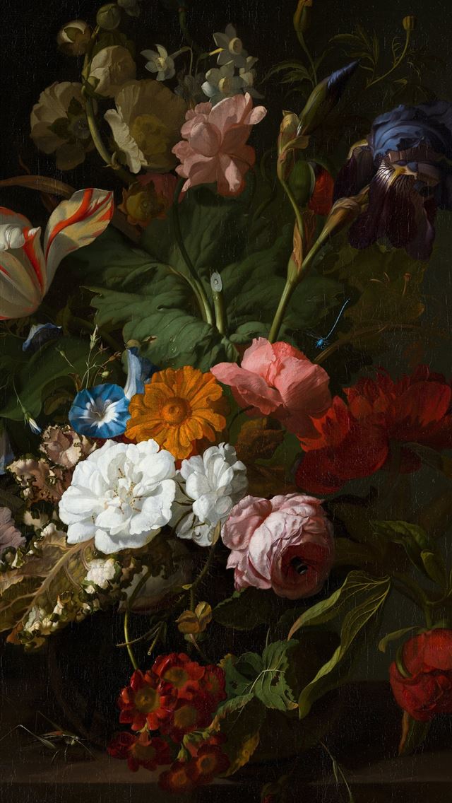 1284x2778 red blue and white flowers - floral iPhone Wallpaper