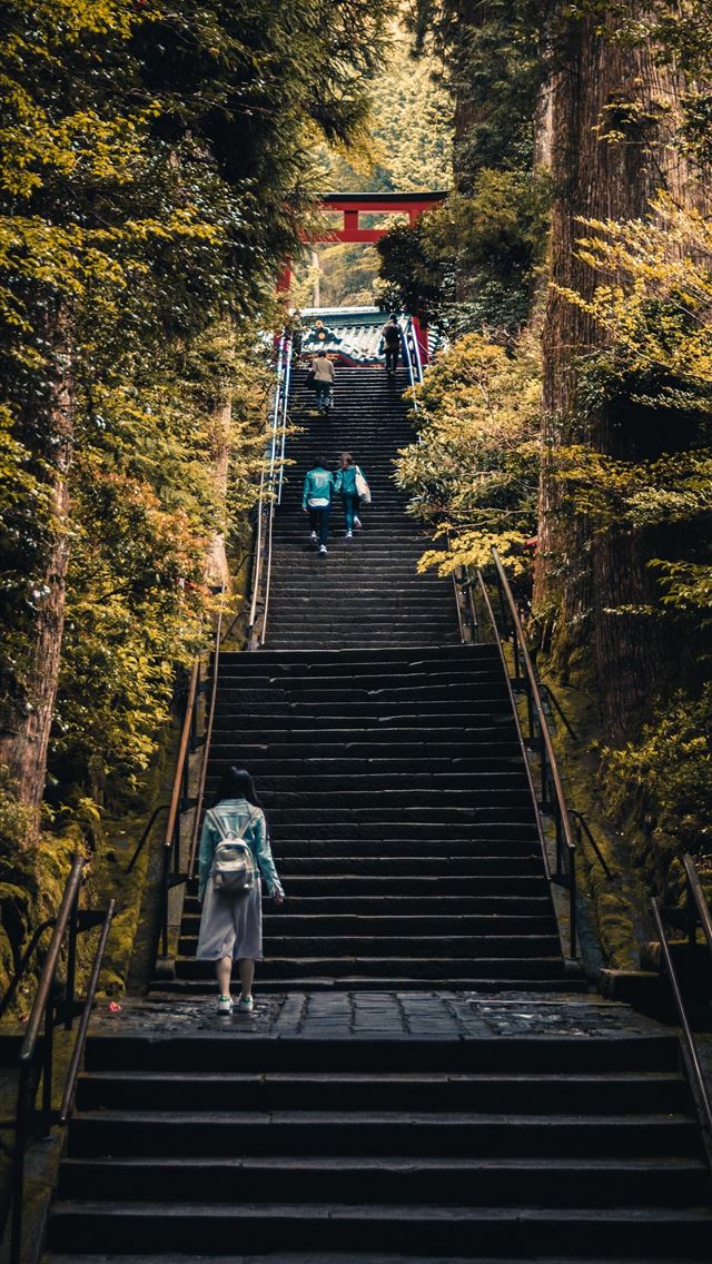 1284x2778 three person walking on stairs between green trees - kyoto iPhone Wallpaper