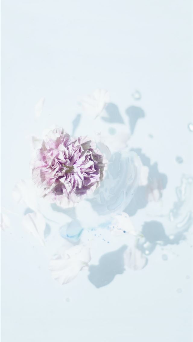 1284x2778 purple flower - purple iPhone Wallpaper
