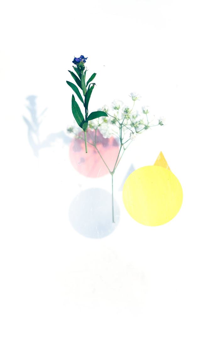 1284x2778 blue and yellow moon and purple flowers - geometric iPhone Wallpaper