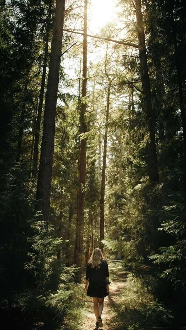 1284x2778 woman walking in the forest - sweden iPhone Wallpaper