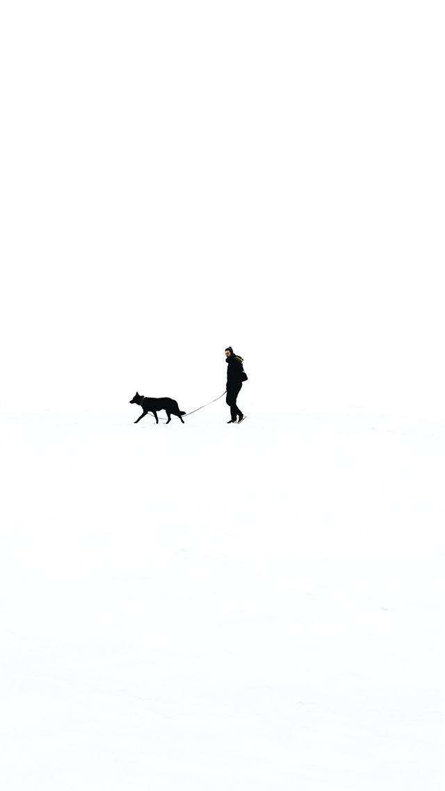 640x1136 person walking with dog against black background -  iPhone Wallpaper