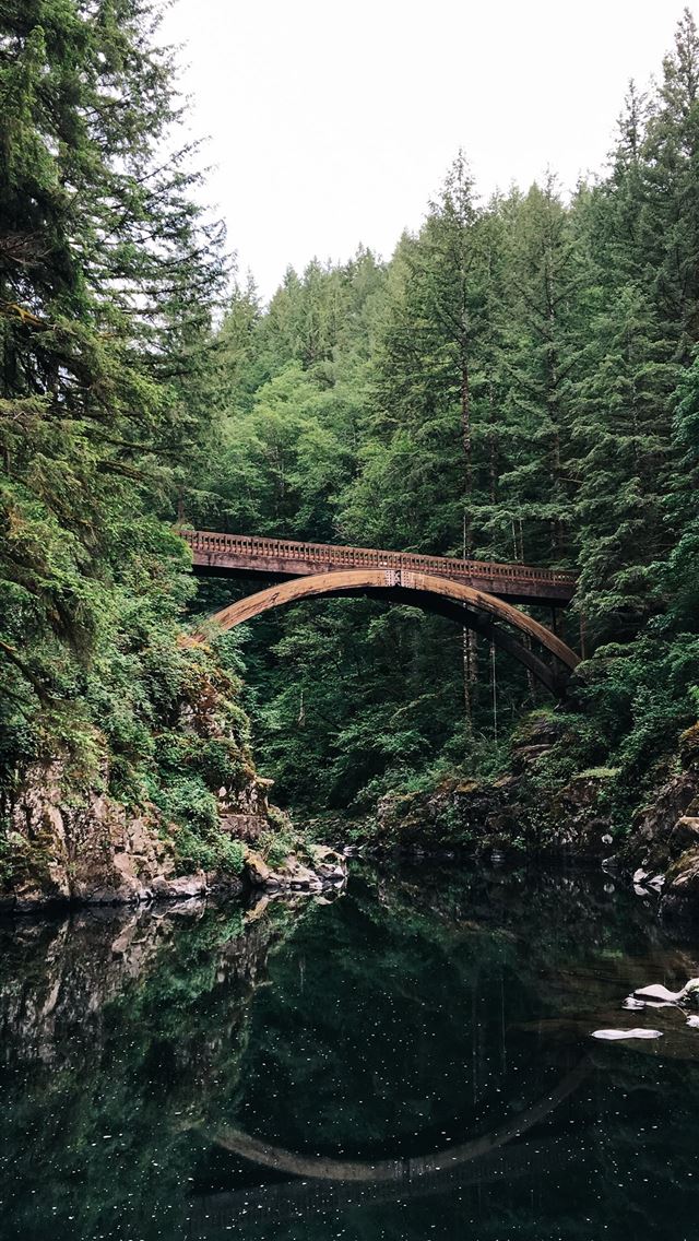 1284x2778 bridge near forest - bridge iPhone Wallpaper