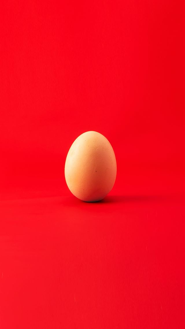 1284x2778 brown egg - instagram iPhone Wallpaper