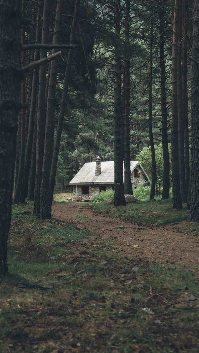 1284x2778 brown house surrounded with tree -  iphone 13 Wallpaper