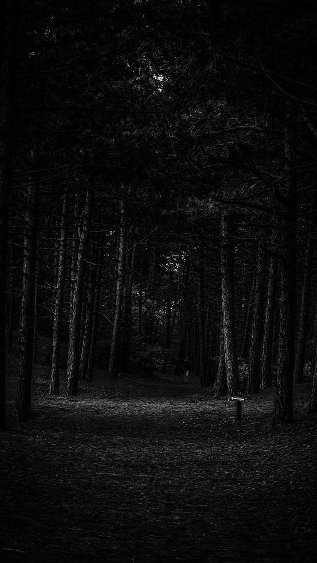 1284x2778 Sign in the dark forest -  iphone 13 Wallpaper