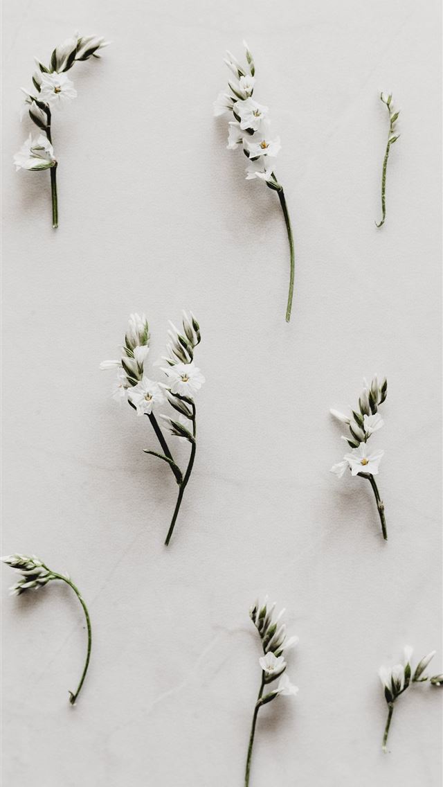 1284x2778 white flower decor lot - marble iPhone Wallpaper