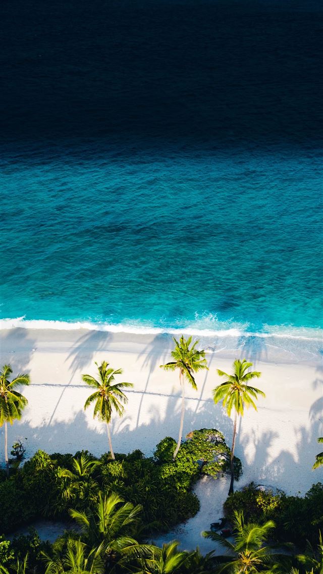 1284x2778 aerial view of beach during daytime -  iphone 13 Wallpaper